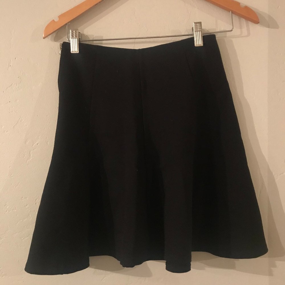 Cute & Sleek Flared Side Zip Skirt